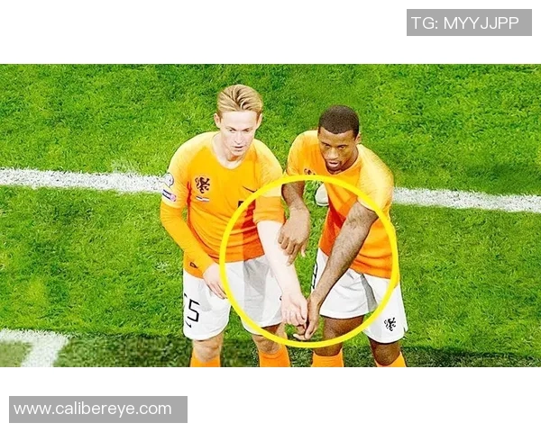 足球明星与他们心爱的狗狗们的温馨时刻与故事分享